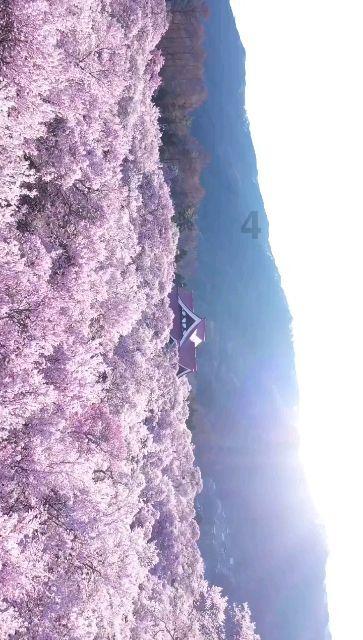 夏末未至