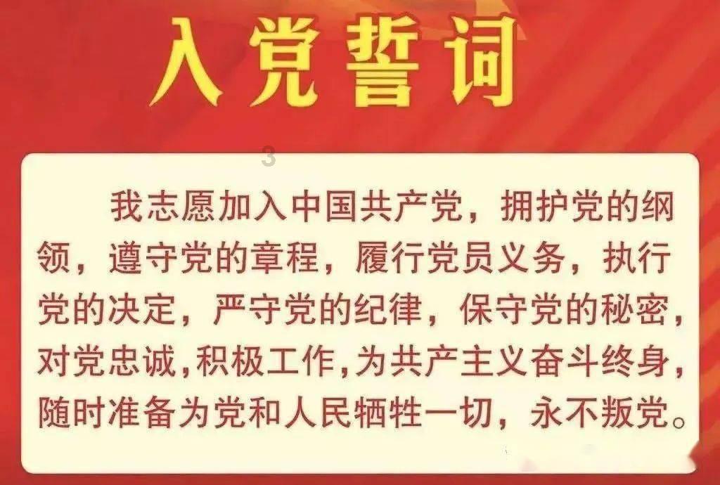 植物大战僵尸11