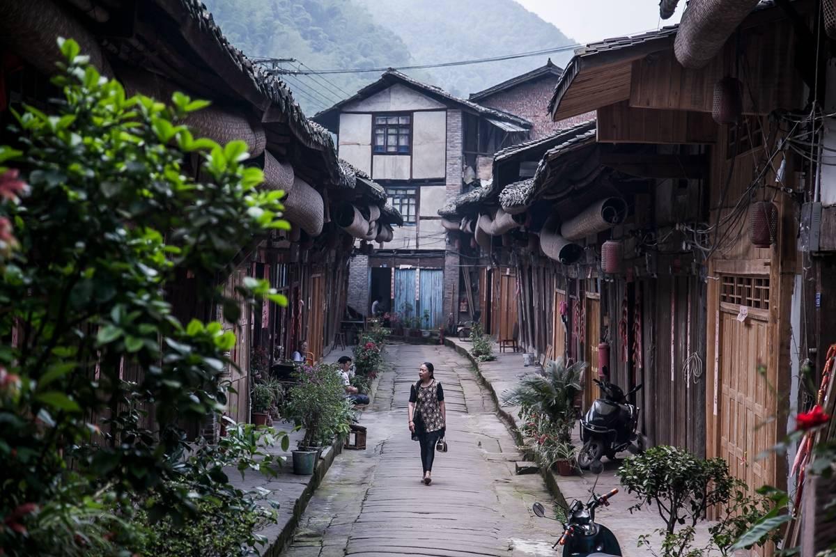 廉颇变异,直接从辅助晋升对抗路强者?